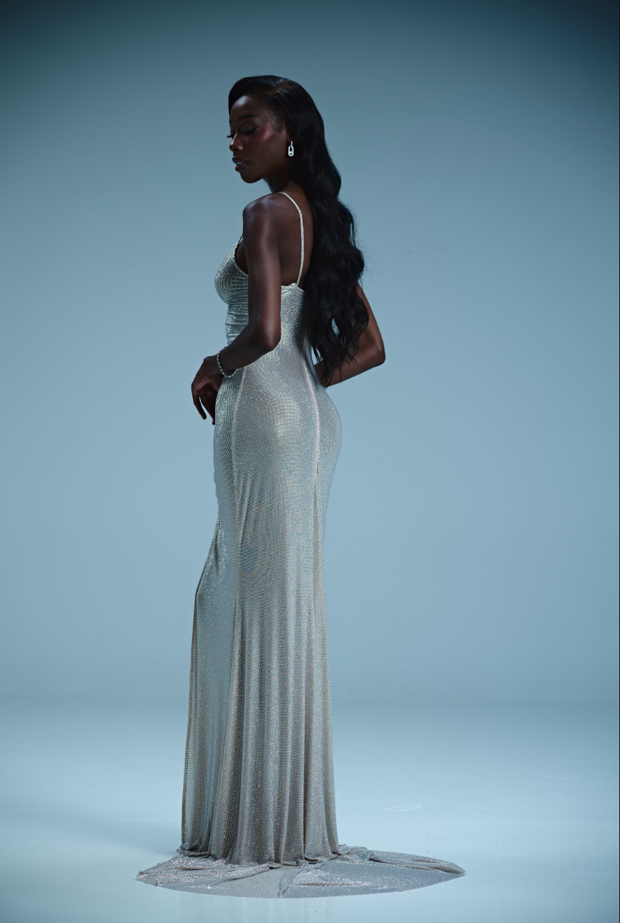 Sparkling Long V-Neck Dress