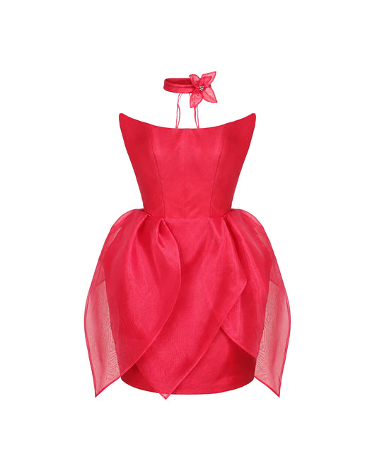 Pink Organza Corset Mini Dress