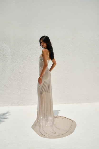 Sparkling Long V-Neck Dress
