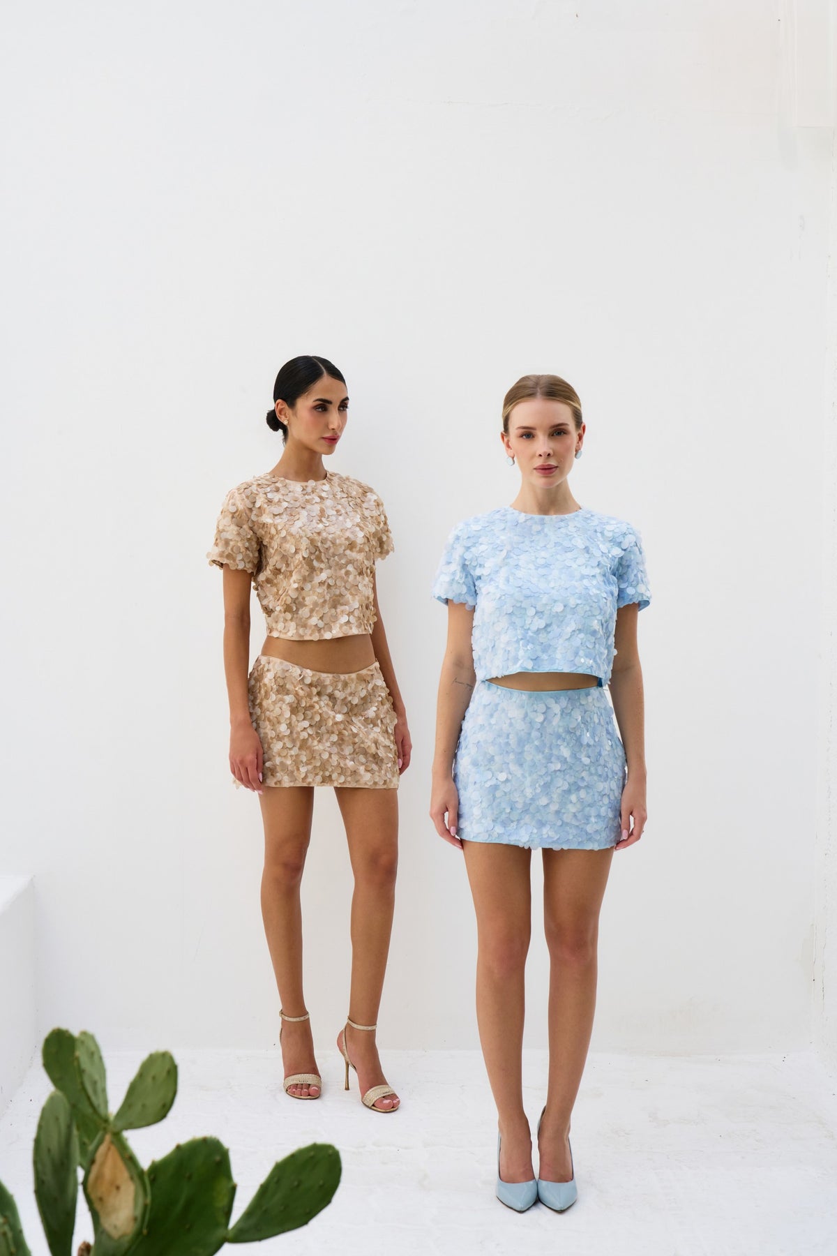 Sequin Skirt and Shirt Set