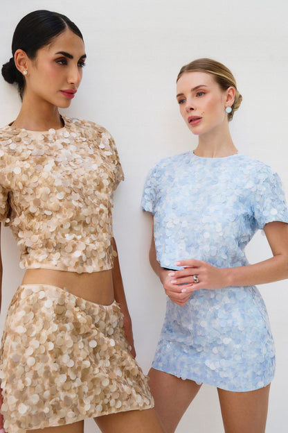 Sequin Skirt and Shirt Set