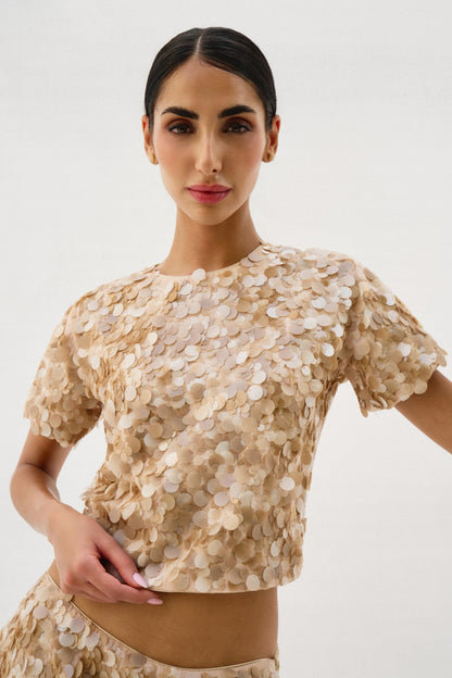 Sequin Skirt and Shirt Set