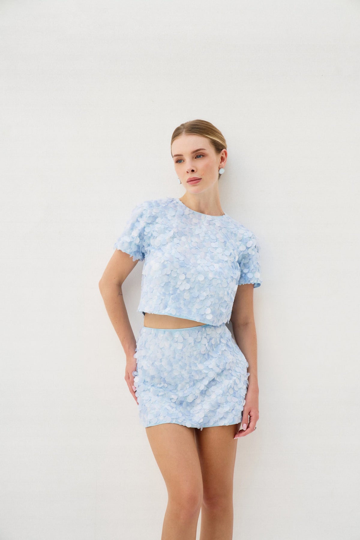 Sequin Skirt and Shirt Set