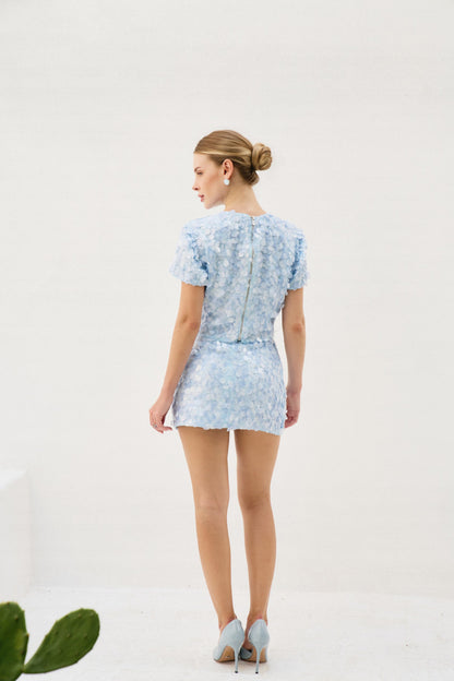 Sequin Skirt and Shirt Set