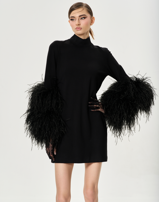 Short Black Feather Dress