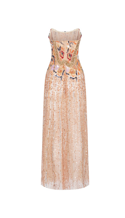 Nude Illusion dress Long