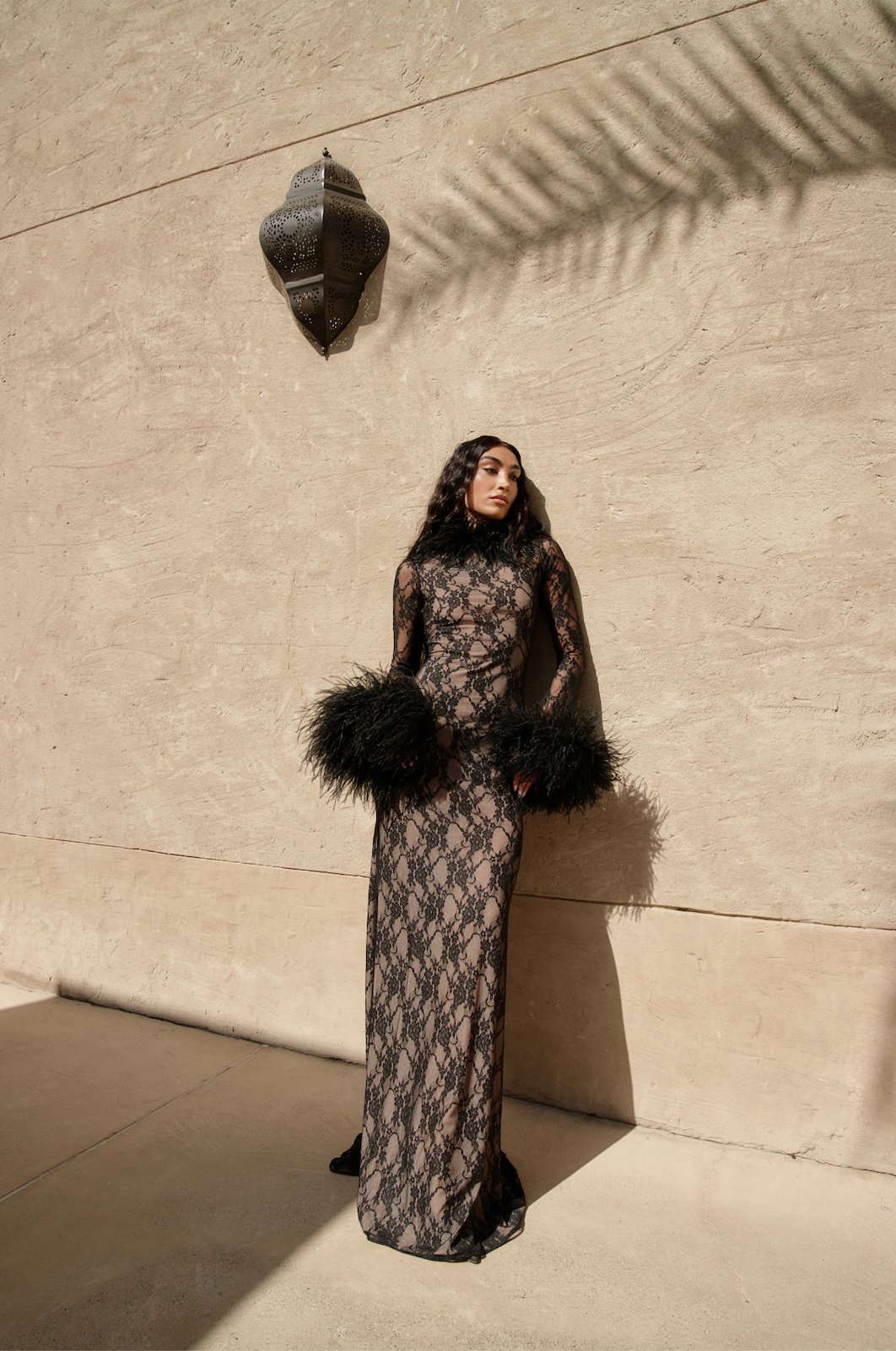 Lace Feathers long Dress