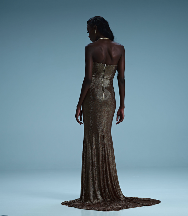 The Bronze Shimmer Gala Dress